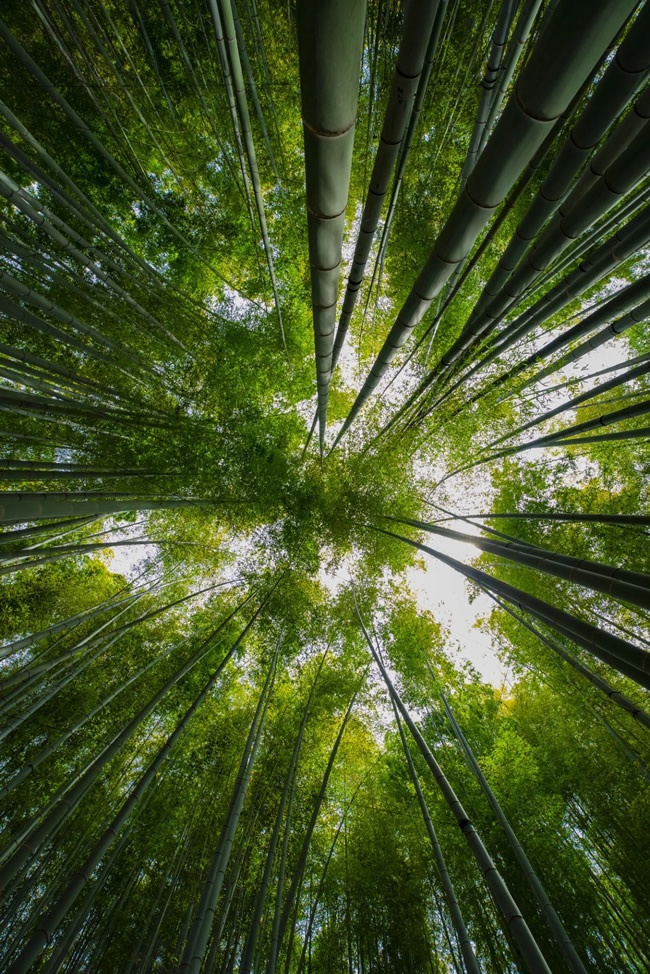 美尼美快装定制